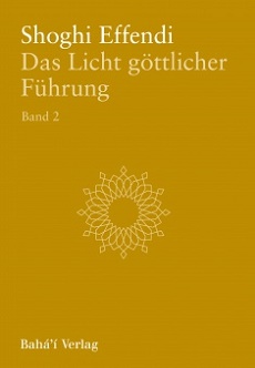 Das Licht göttlicher Führung - Band 2