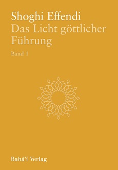 Das Licht göttlicher Führung - Band 1