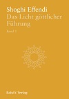 Das Licht göttlicher Führung - Band 1