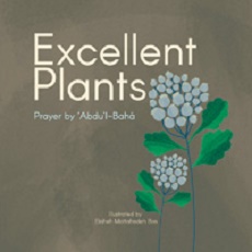 Excellent Plants