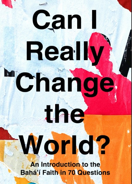 Can I Really Change the World?
