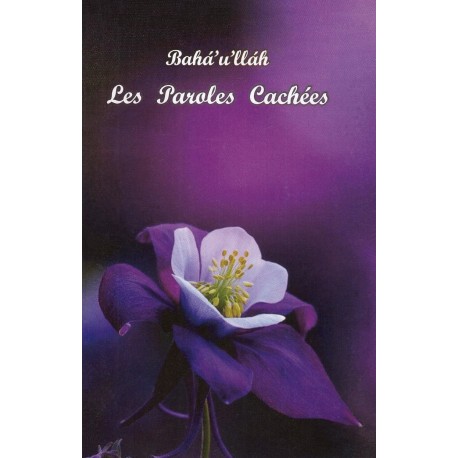 Les Paroles Cachées